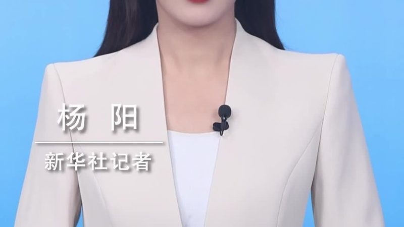 科技成果转化，上海公司如何助力创新之路？**